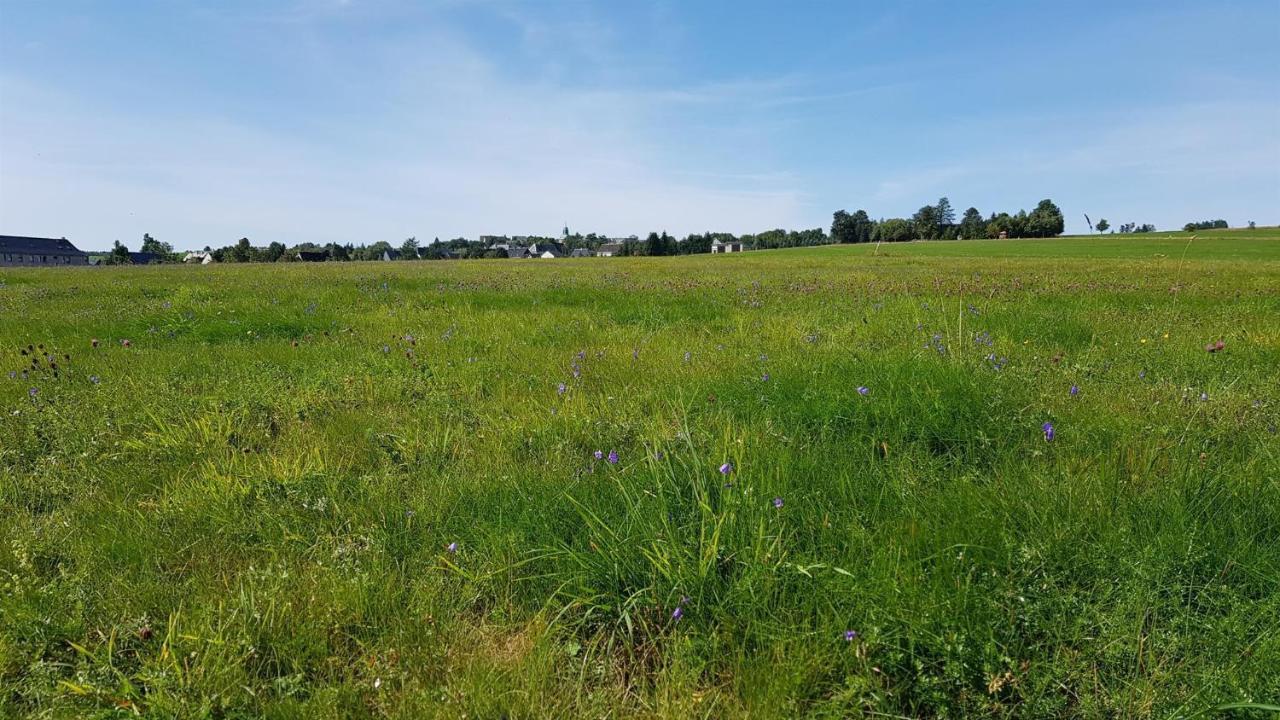 Pension & Gasthof Erbgericht Hoehenlage 850M Marienberg Exterior foto
